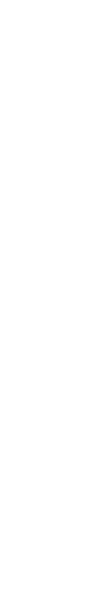 Alena Steinke Slow Fashion Berlin Logo